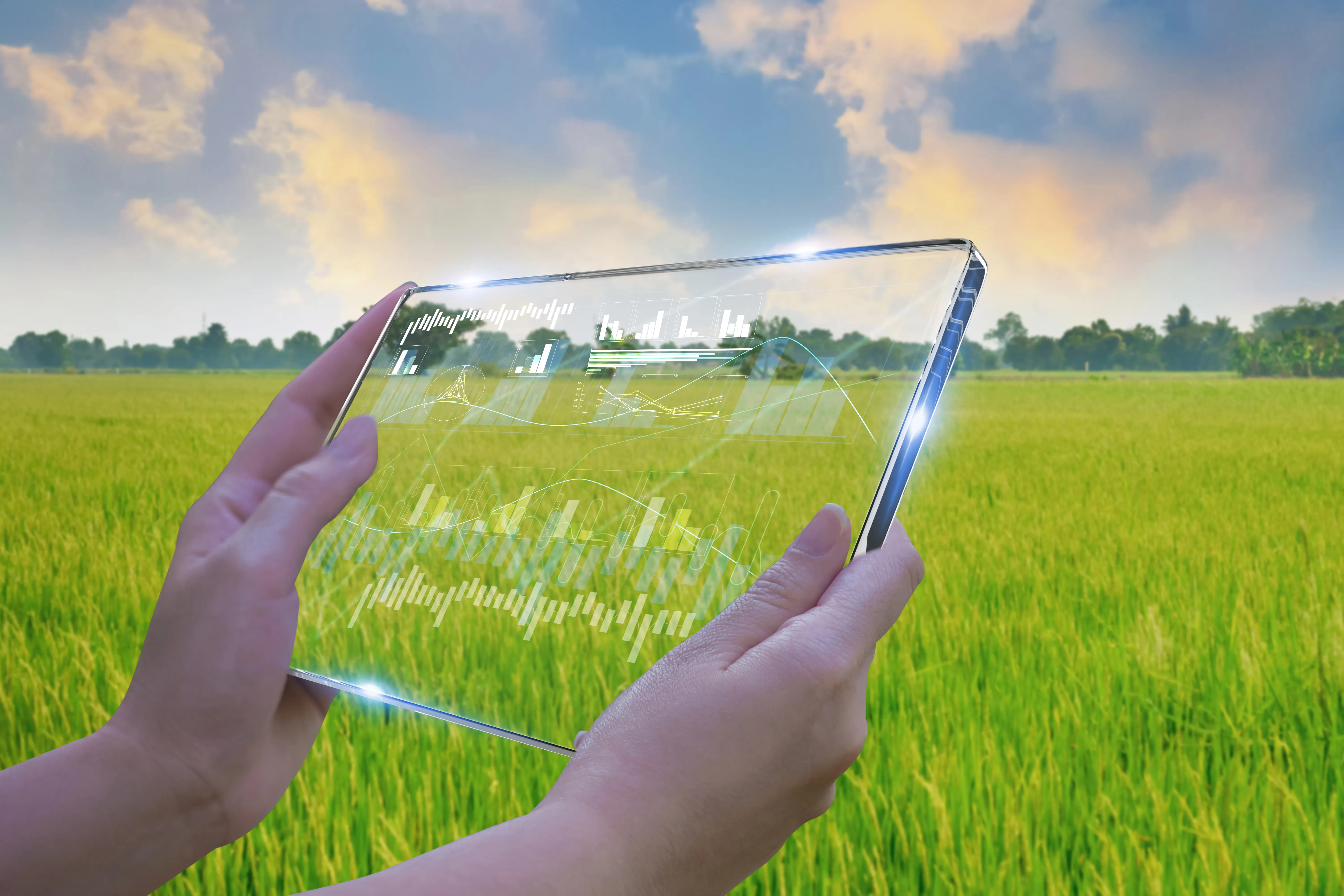 Microbial Solutions for Composting