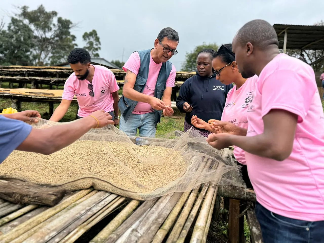 Coffee Sector Skills Development